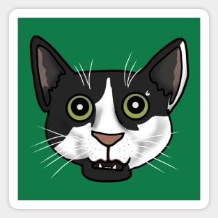 Funny Cat Face (Small Design) Magnet